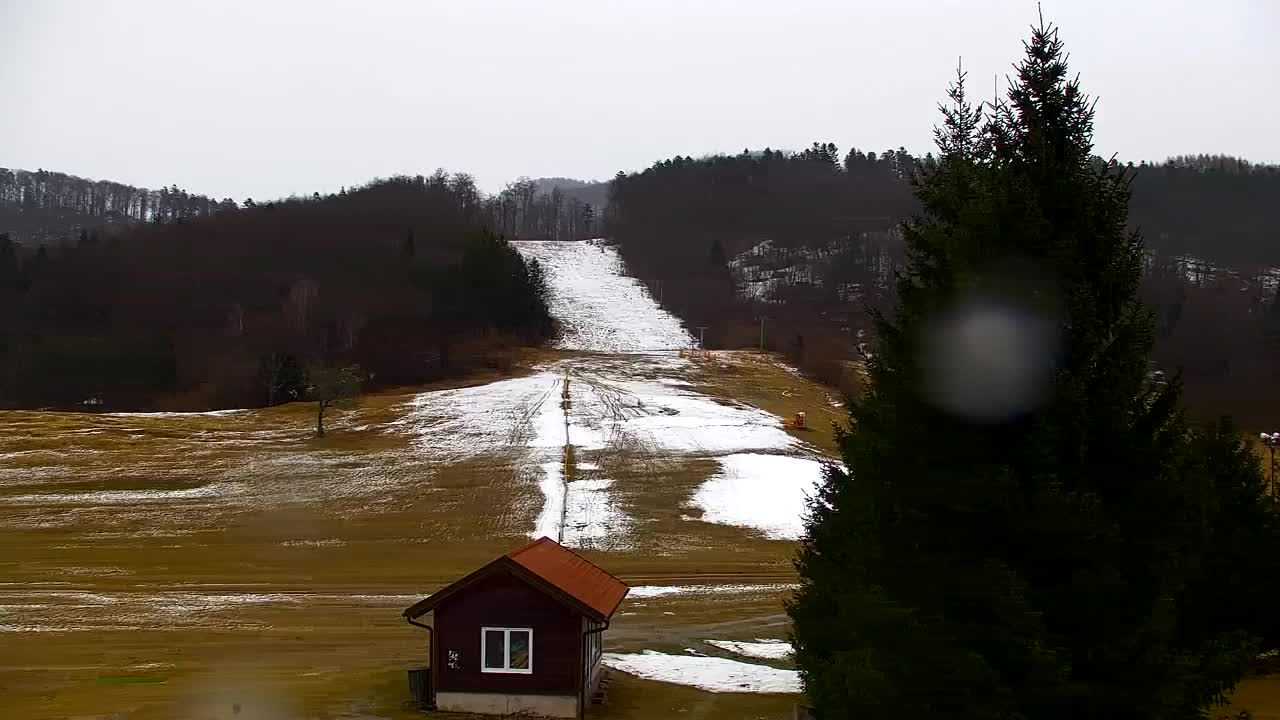 Webcam Loqua / Lokve – La bellezza della selva di Tarnova