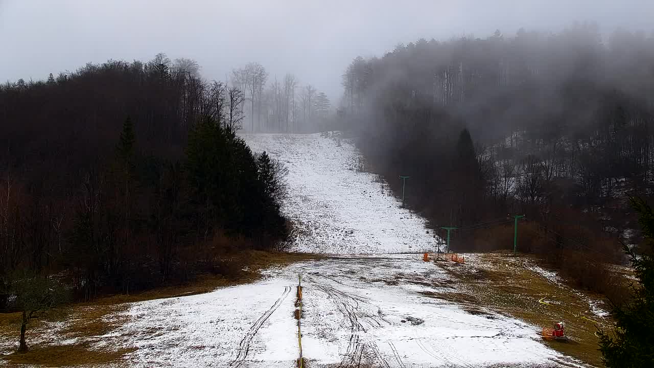 Webcam Lokve – The beauty of the Trnovo forest