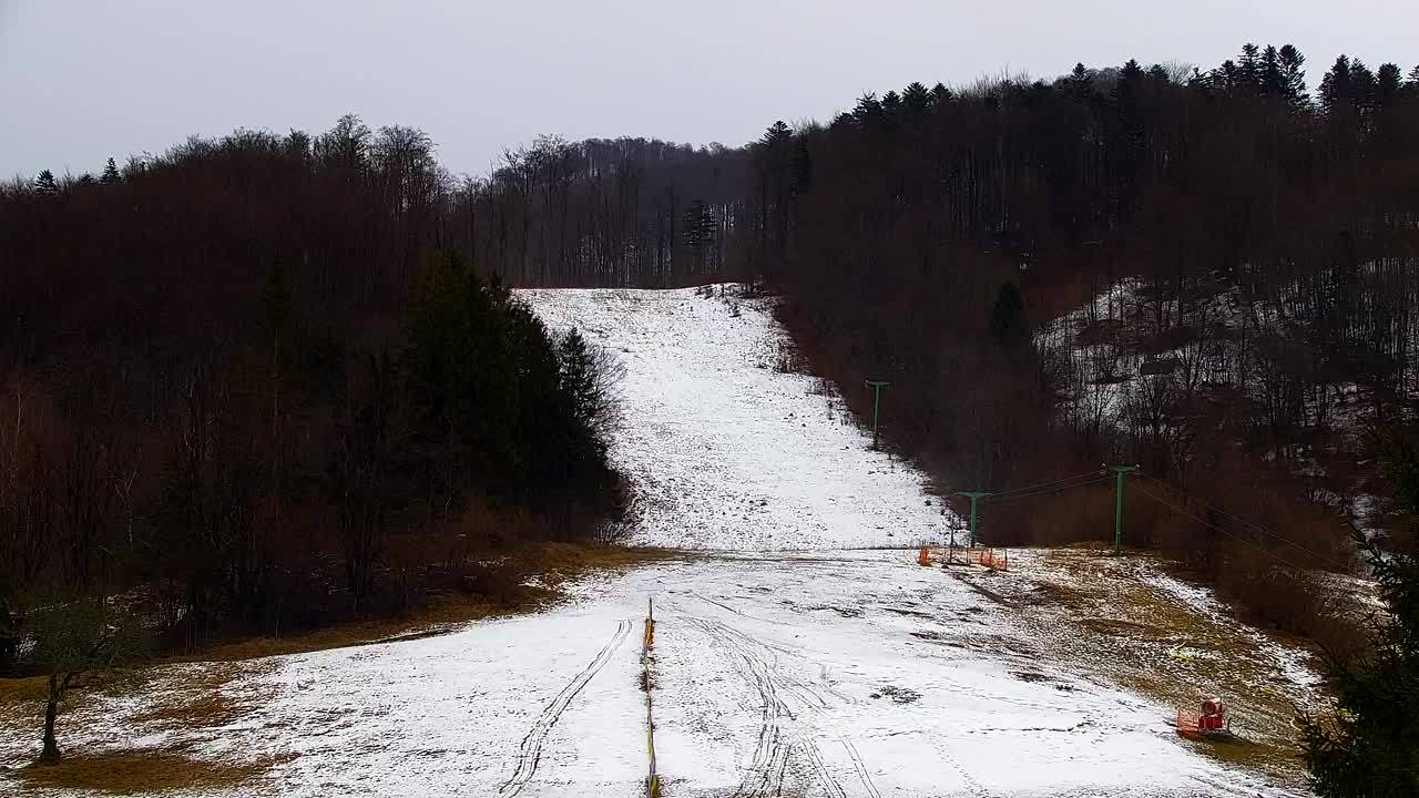 Web kamera Lokve – Ljepota Trnovske šume