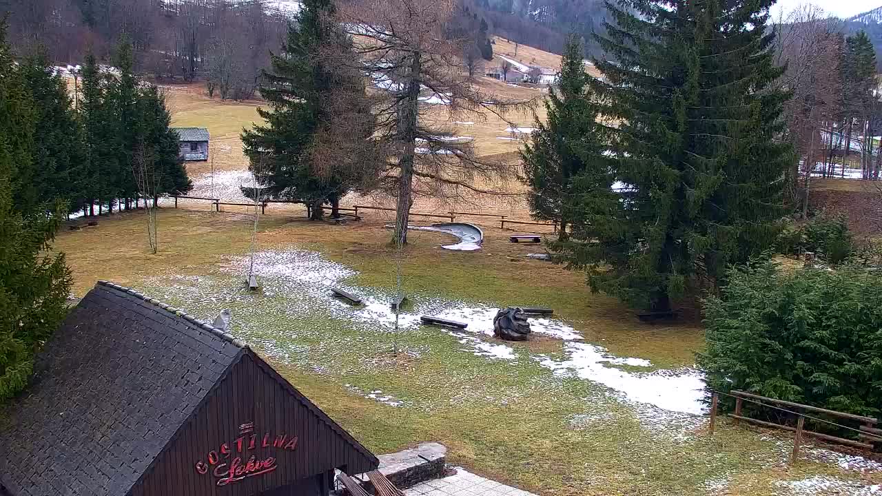 Webcam Loqua / Lokve – La bellezza della selva di Tarnova