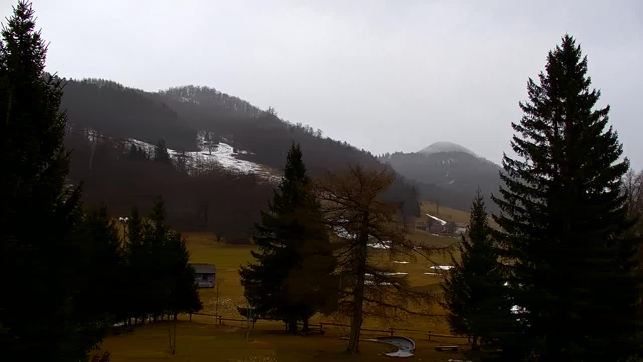 Webcam Lokve – La beauté de la forêt de Trnovo