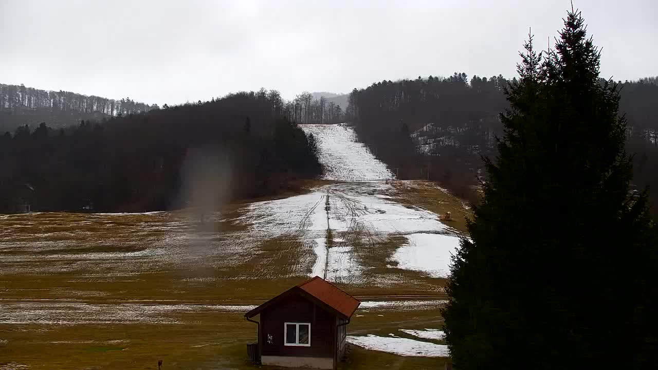 Webcam Lokve – La beauté de la forêt de Trnovo