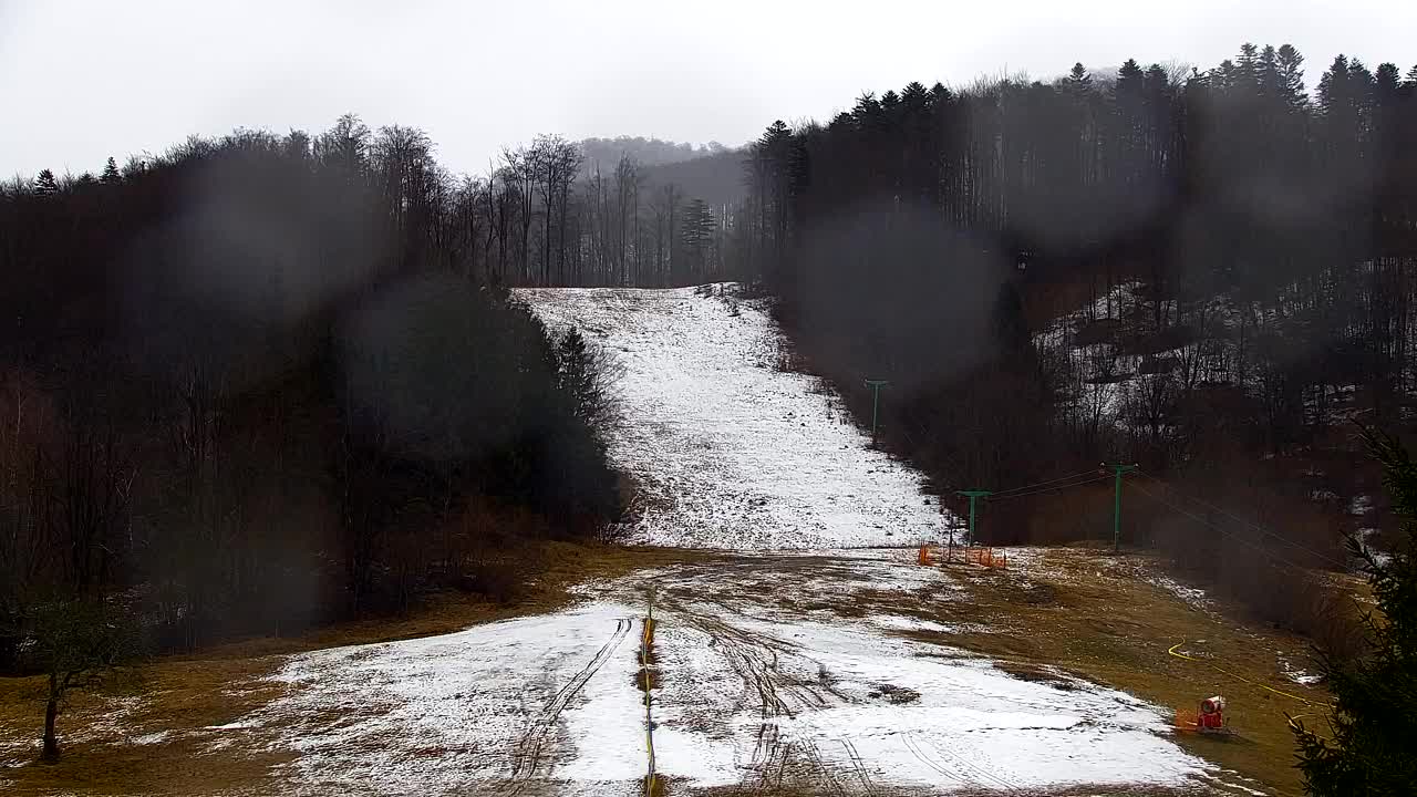 Webcam Lokve – La beauté de la forêt de Trnovo