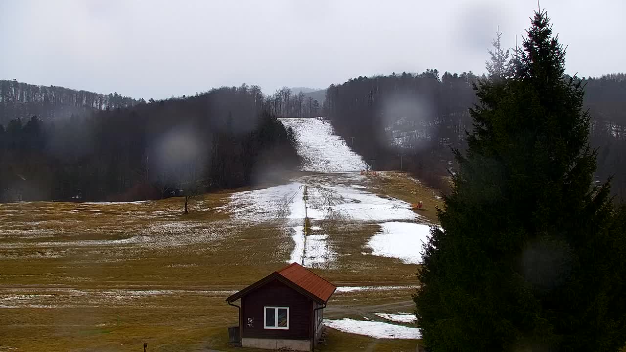 Webcam Loqua / Lokve – La bellezza della selva di Tarnova