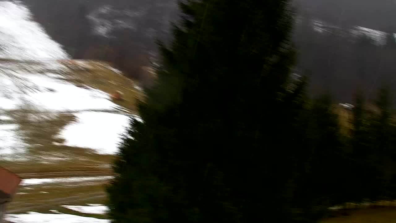 Webcam Lokve – The beauty of the Trnovo forest