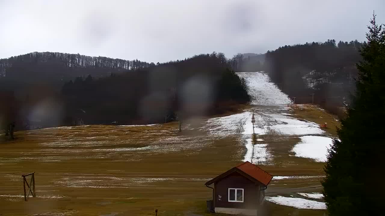 Web kamera Lokve – Ljepota Trnovske šume