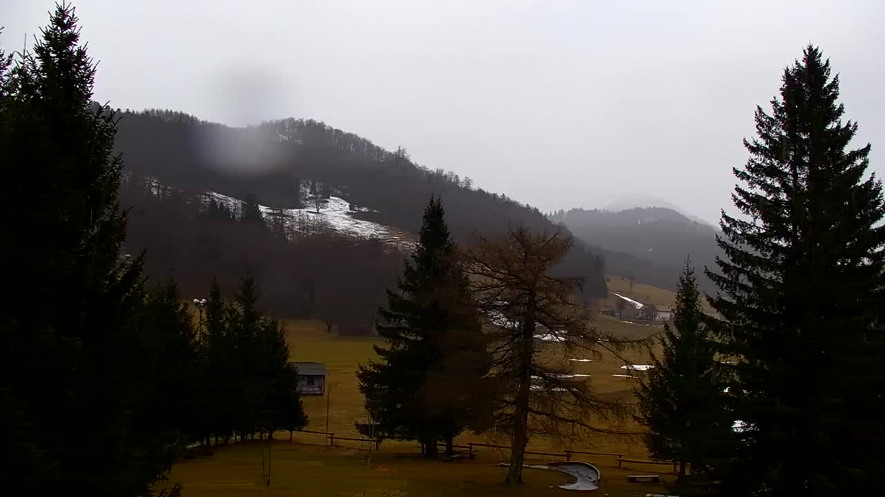 Webcam Loqua / Lokve – La bellezza della selva di Tarnova