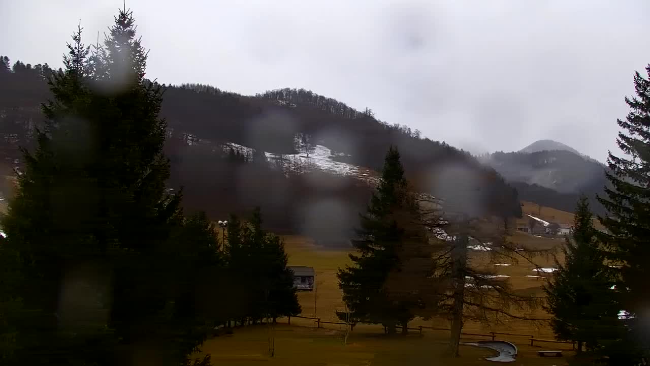 Webcam Lokve – Die Schönheit des Trnovo-Waldes