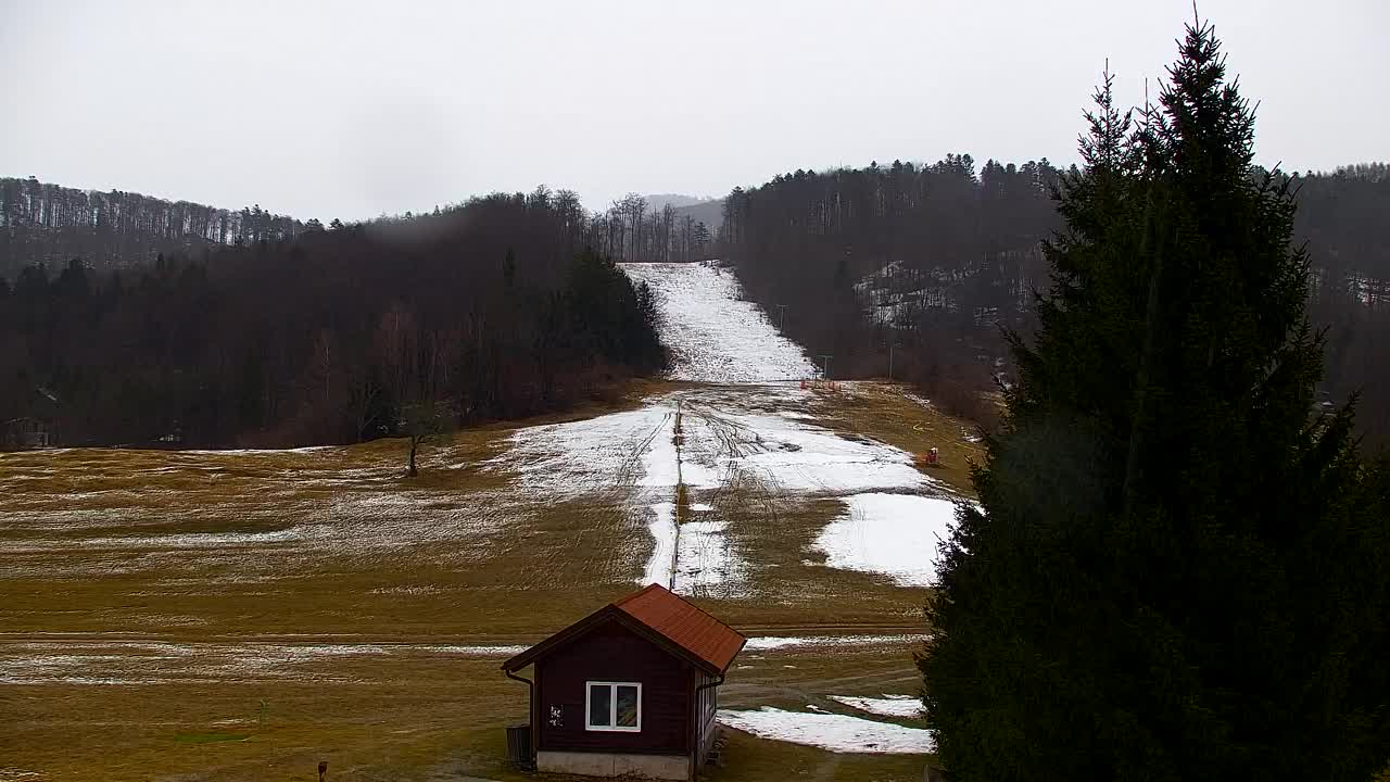 Webcam Loqua / Lokve – La bellezza della selva di Tarnova