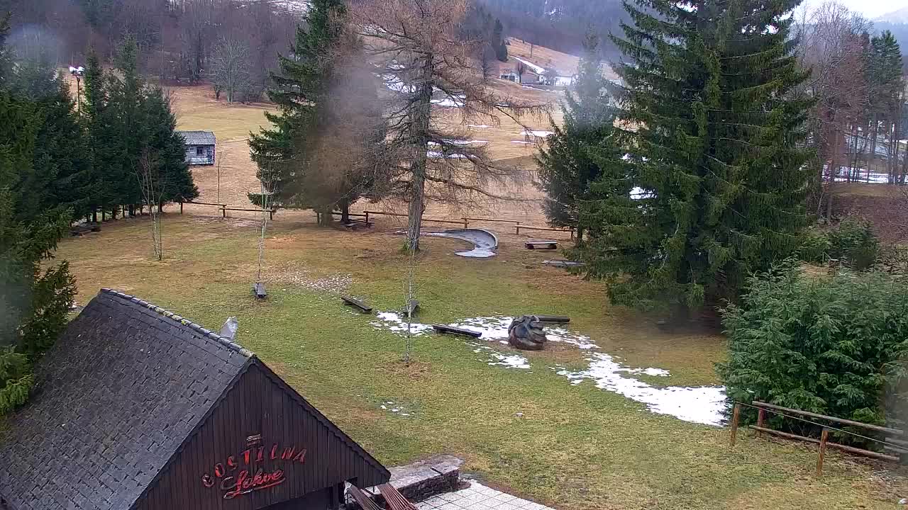 Webcam Lokve – The beauty of the Trnovo forest