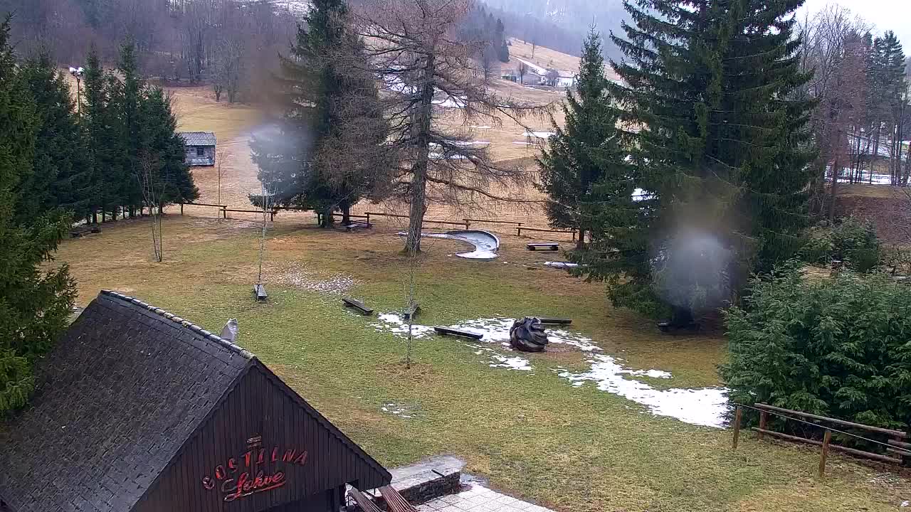 Webcam Lokve – The beauty of the Trnovo forest