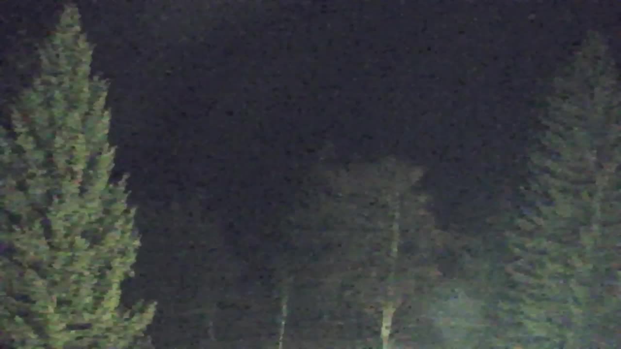 Webcam Lokve – The beauty of the Trnovo forest