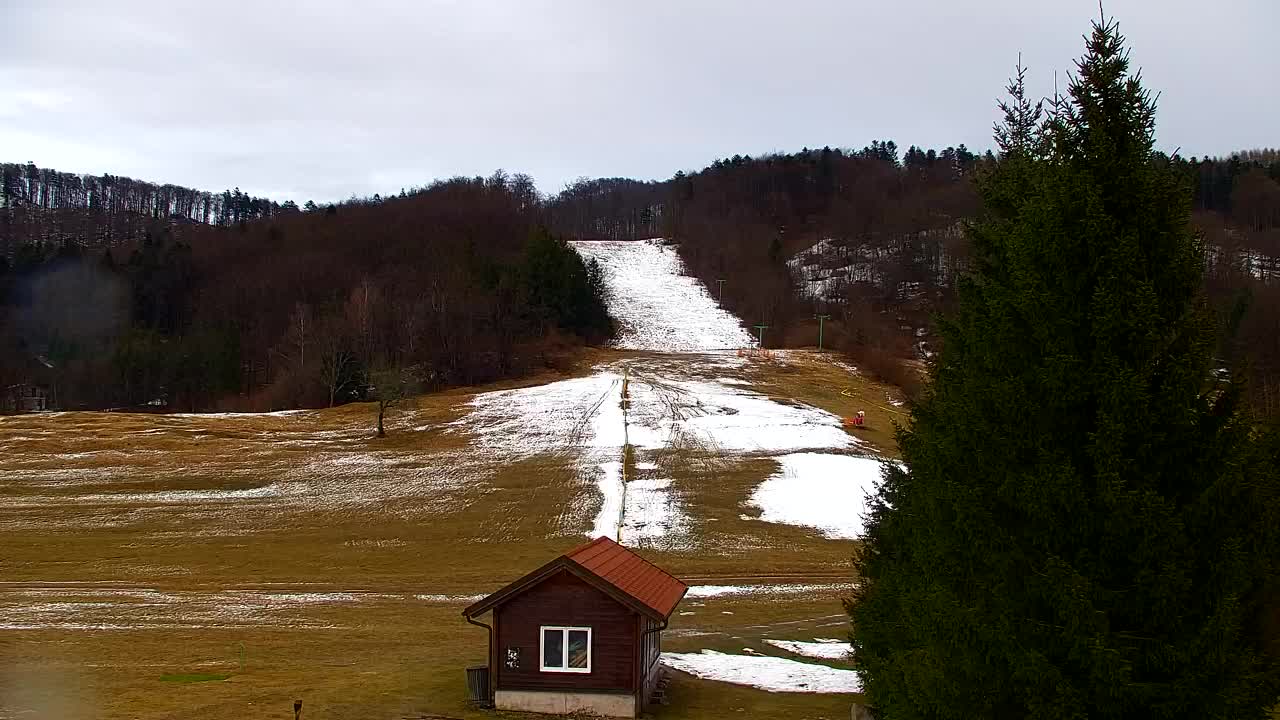Web kamera Lokve – Ljepota Trnovske šume