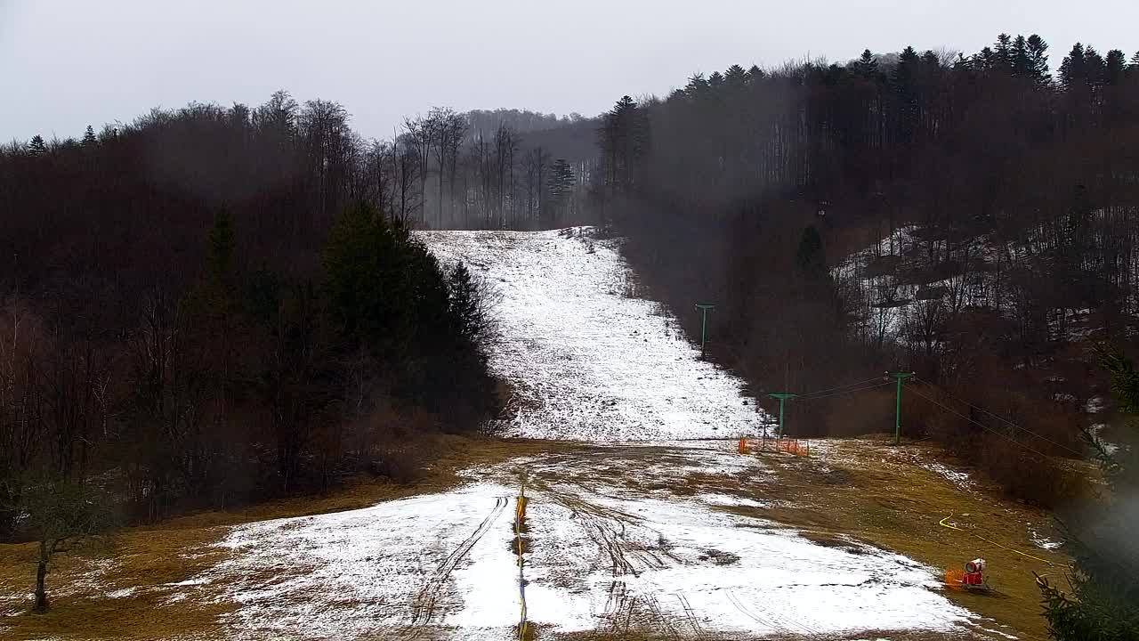 Webcam Lokve – The beauty of the Trnovo forest
