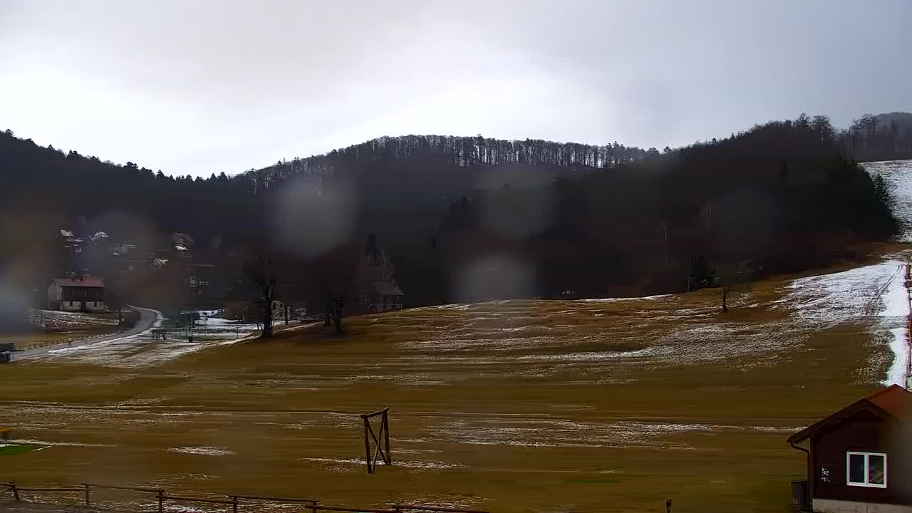 Webcam Lokve – La beauté de la forêt de Trnovo