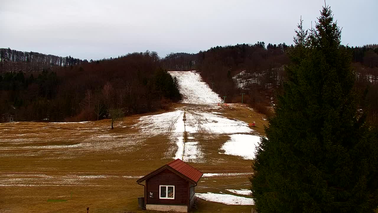 Webcam Lokve – Die Schönheit des Trnovo-Waldes