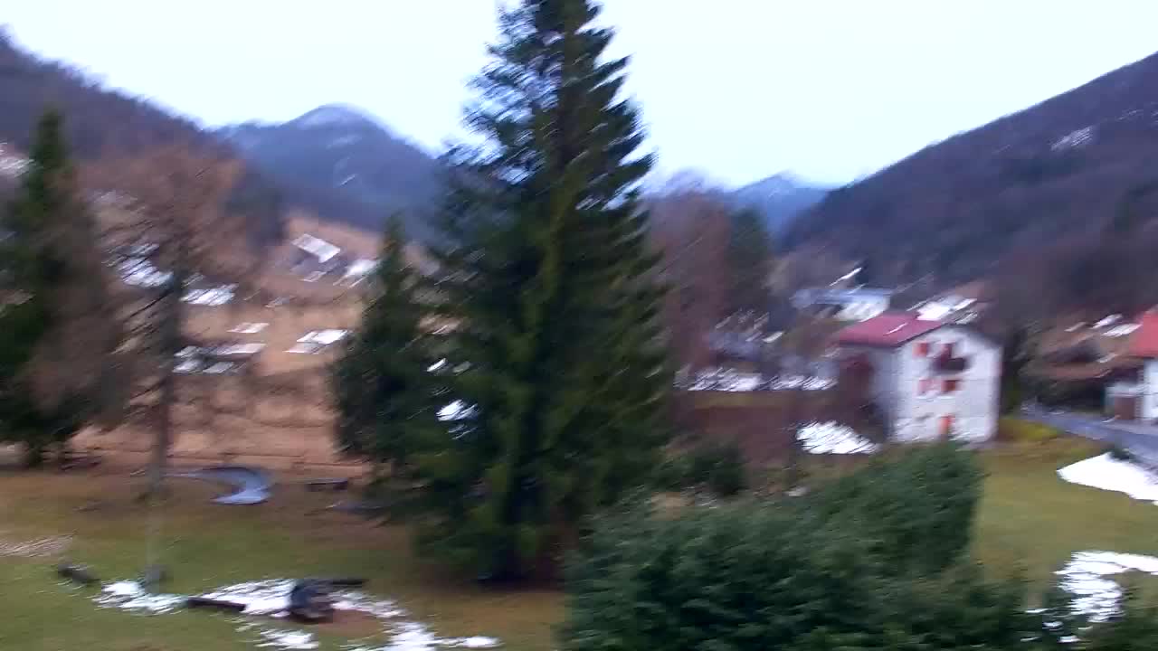 Web kamera Lokve – Ljepota Trnovske šume