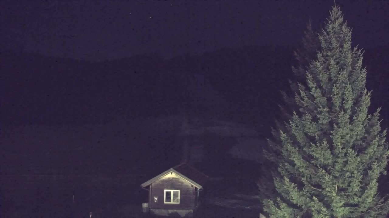 Webcam Lokve – La beauté de la forêt de Trnovo