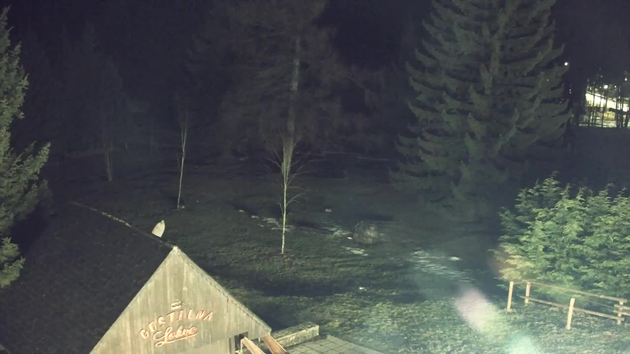 Webcam Loqua / Lokve – La bellezza della selva di Tarnova