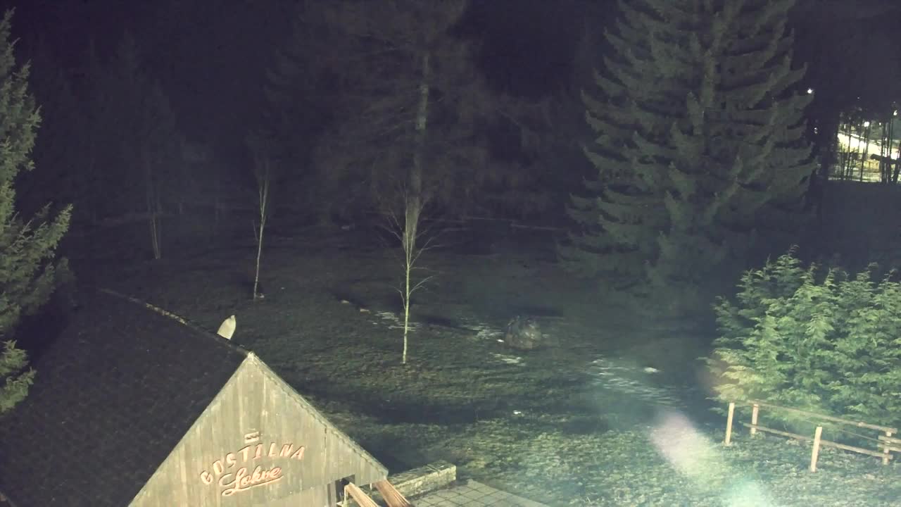 Webcam Lokve – The beauty of the Trnovo forest