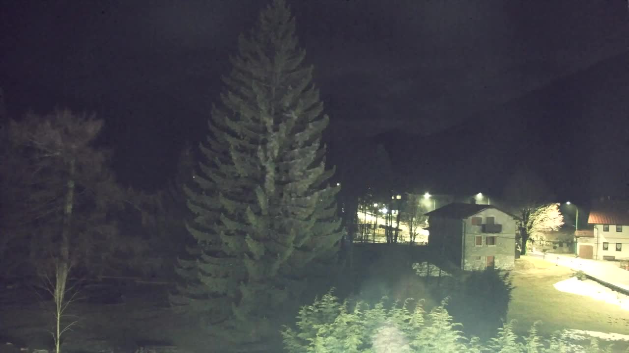 Webcam Lokve – La beauté de la forêt de Trnovo