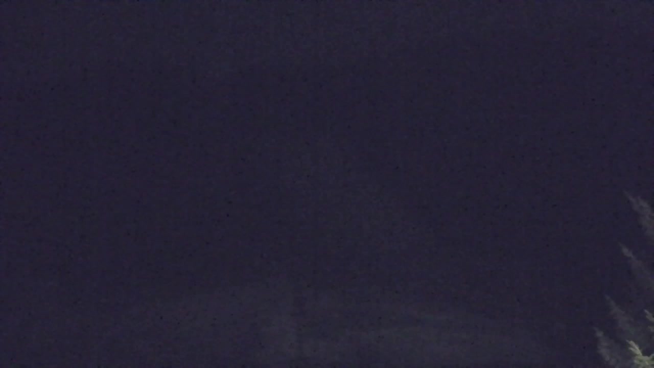 Webcam Loqua / Lokve – La bellezza della selva di Tarnova