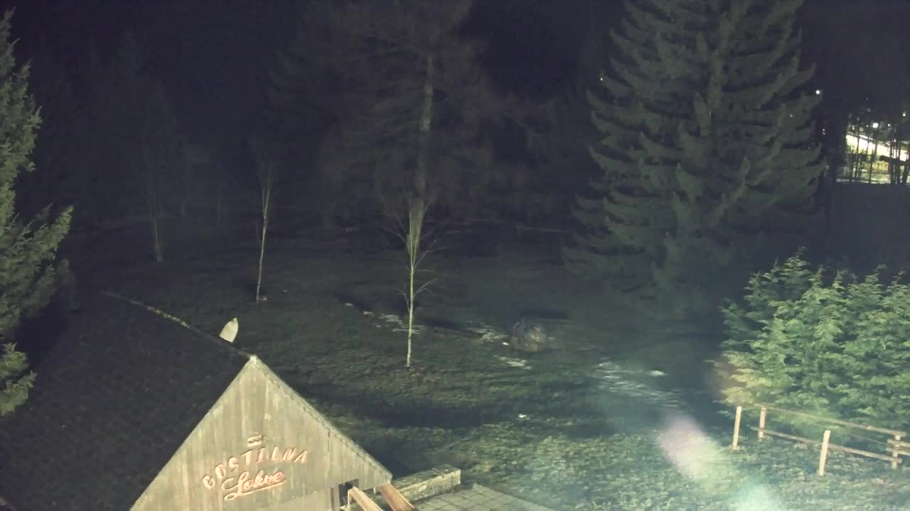 Web kamera Lokve – Ljepota Trnovske šume