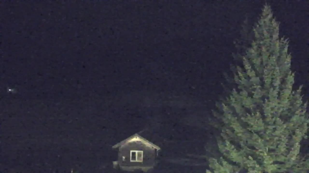 Webcam Loqua / Lokve – La bellezza della selva di Tarnova