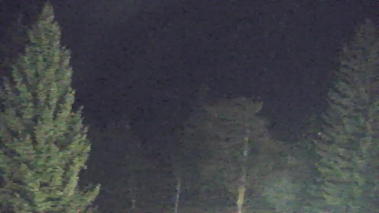 Webcam Lokve – La beauté de la forêt de Trnovo