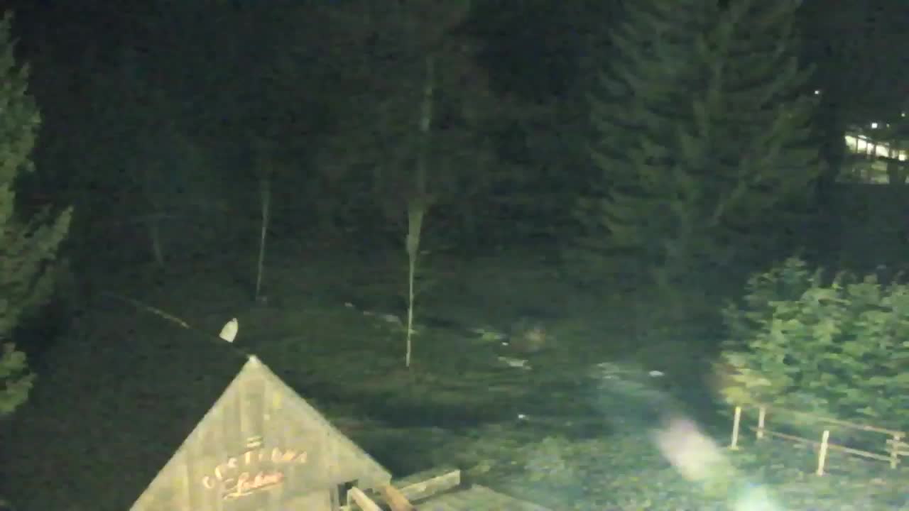 Lokve kamera – Naravne lepote Trnovskega gozda