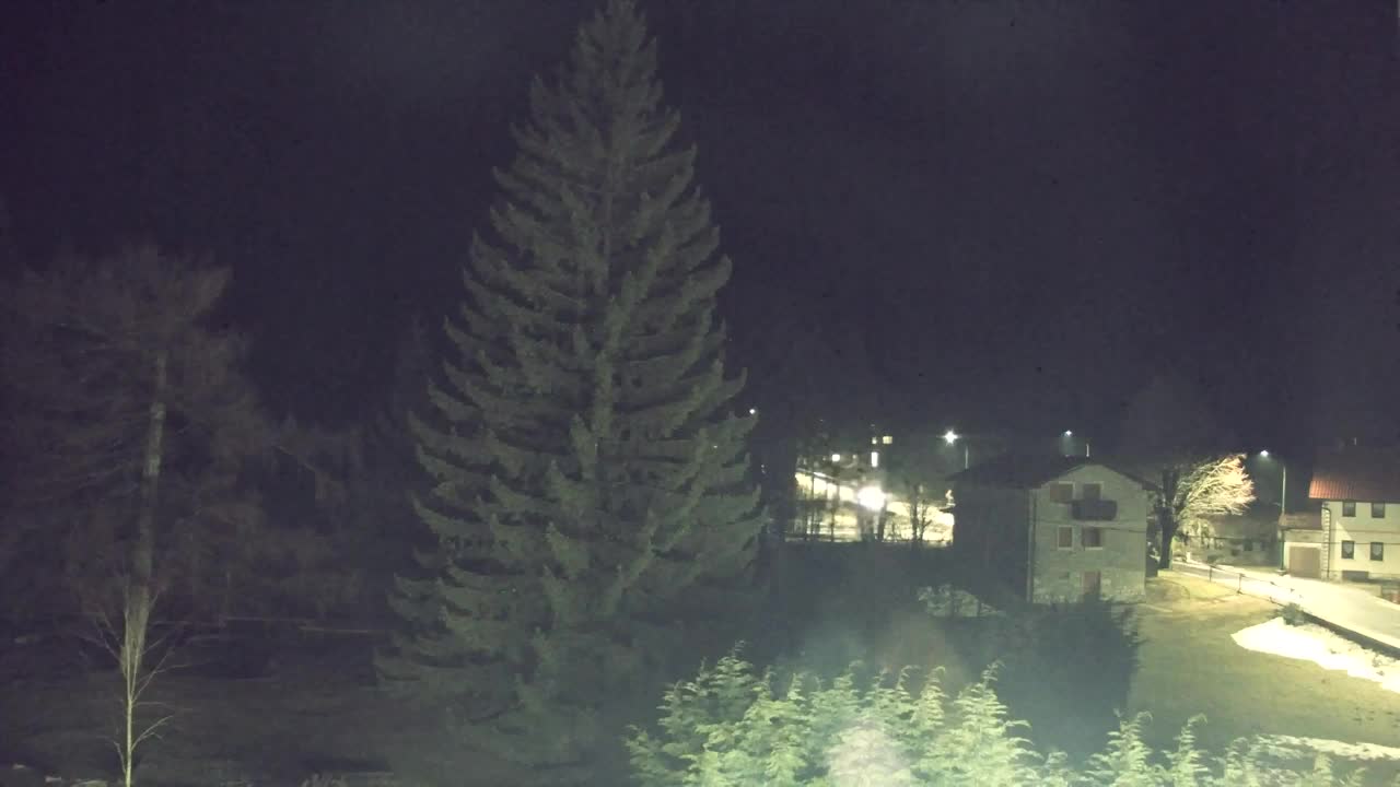 Webcam Lokve – The beauty of the Trnovo forest