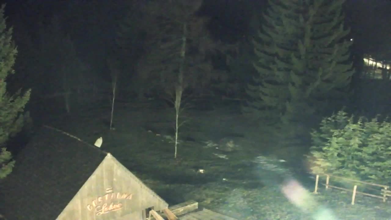 Webcam Lokve – La beauté de la forêt de Trnovo