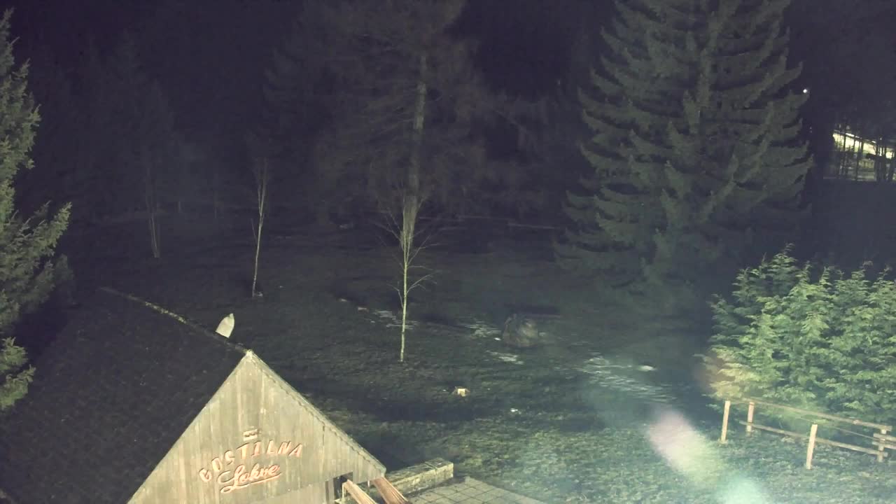 Webcam Lokve – La beauté de la forêt de Trnovo