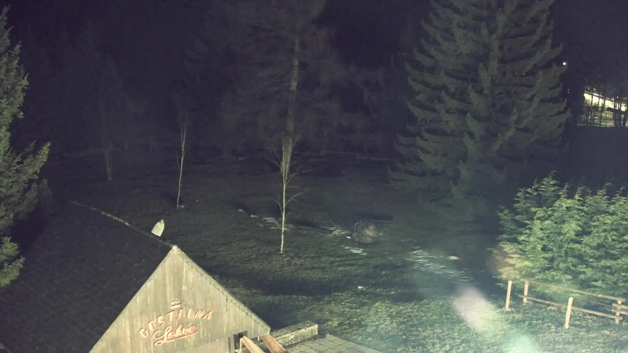 Webcam Loqua / Lokve – La bellezza della selva di Tarnova