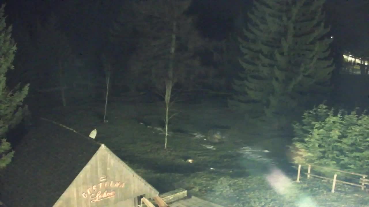 Webcam Lokve – The beauty of the Trnovo forest