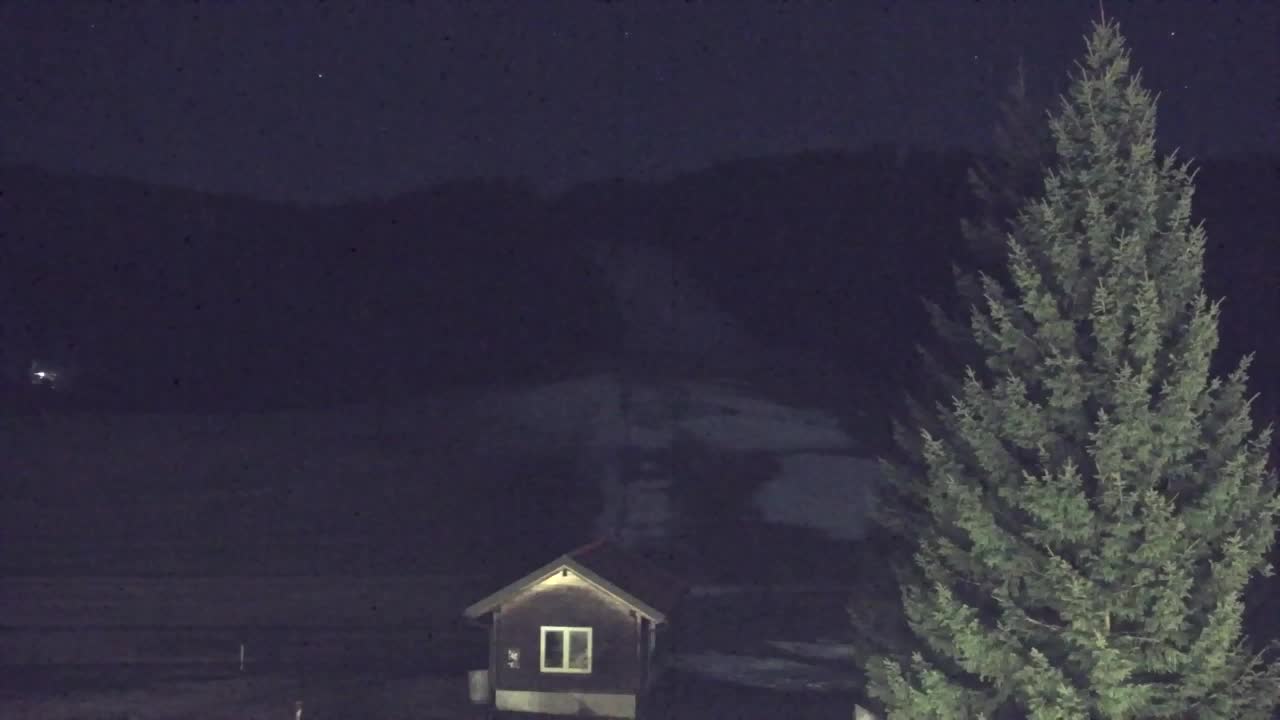 Webcam Loqua / Lokve – La bellezza della selva di Tarnova