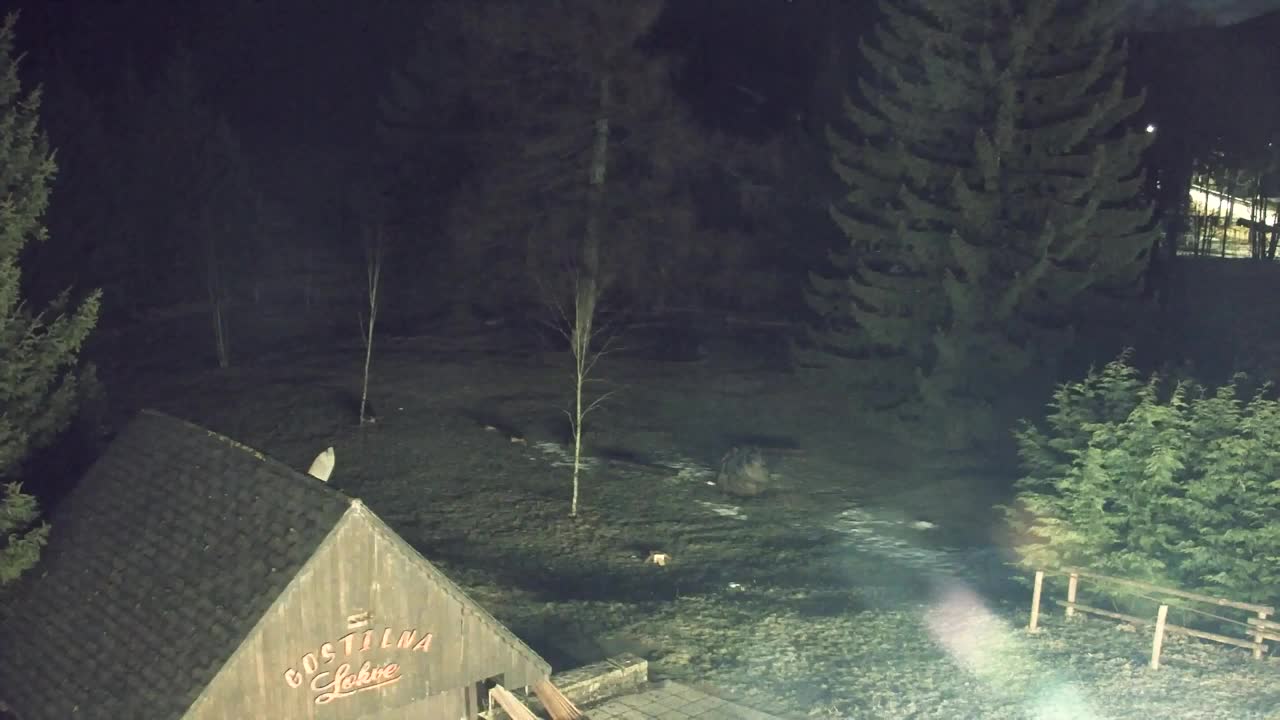 Webcam Lokve – Die Schönheit des Trnovo-Waldes