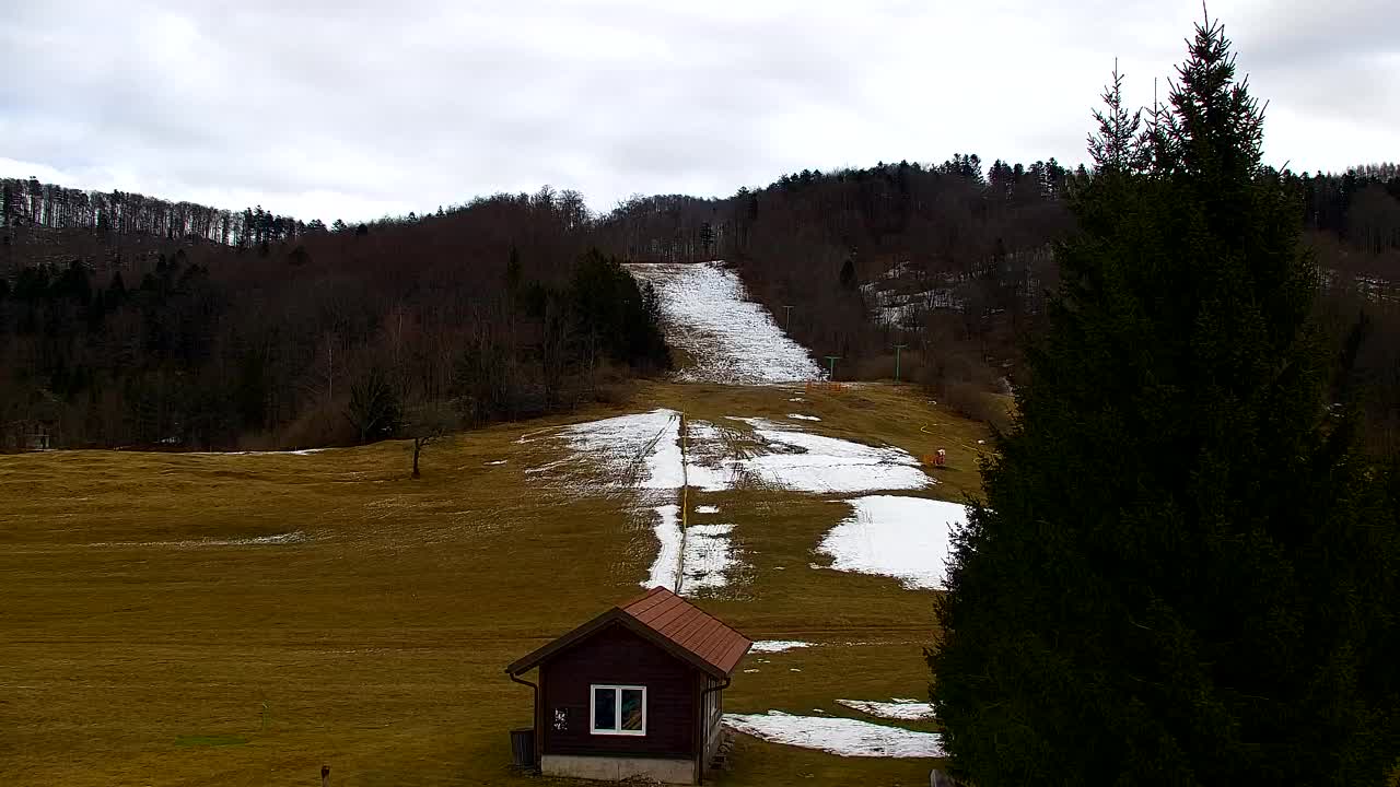 Webcam Lokve – Die Schönheit des Trnovo-Waldes