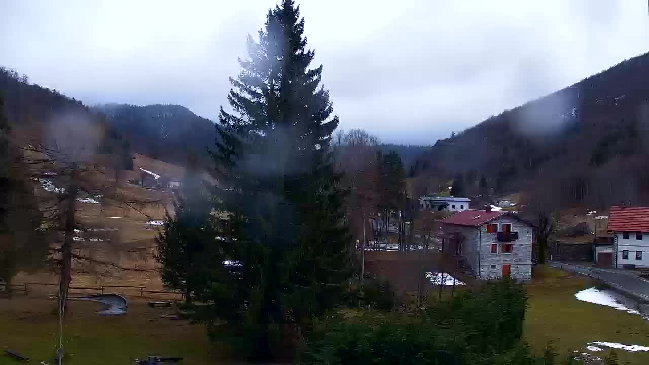 Web kamera Lokve – Ljepota Trnovske šume