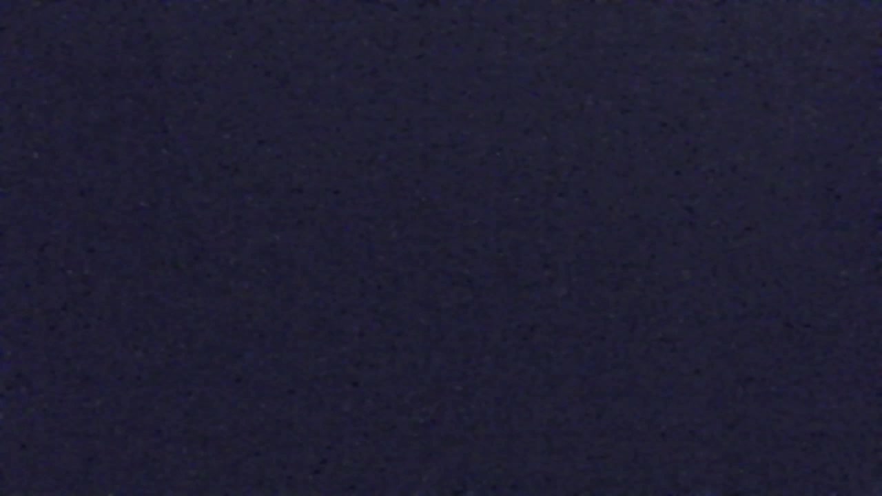 Webcam Loqua / Lokve – La bellezza della selva di Tarnova