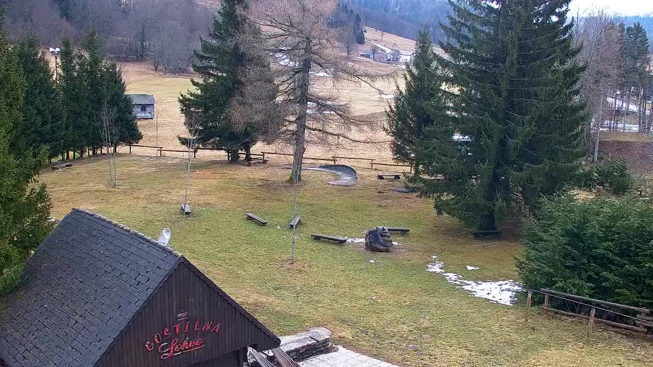 Webcam Lokve – The beauty of the Trnovo forest