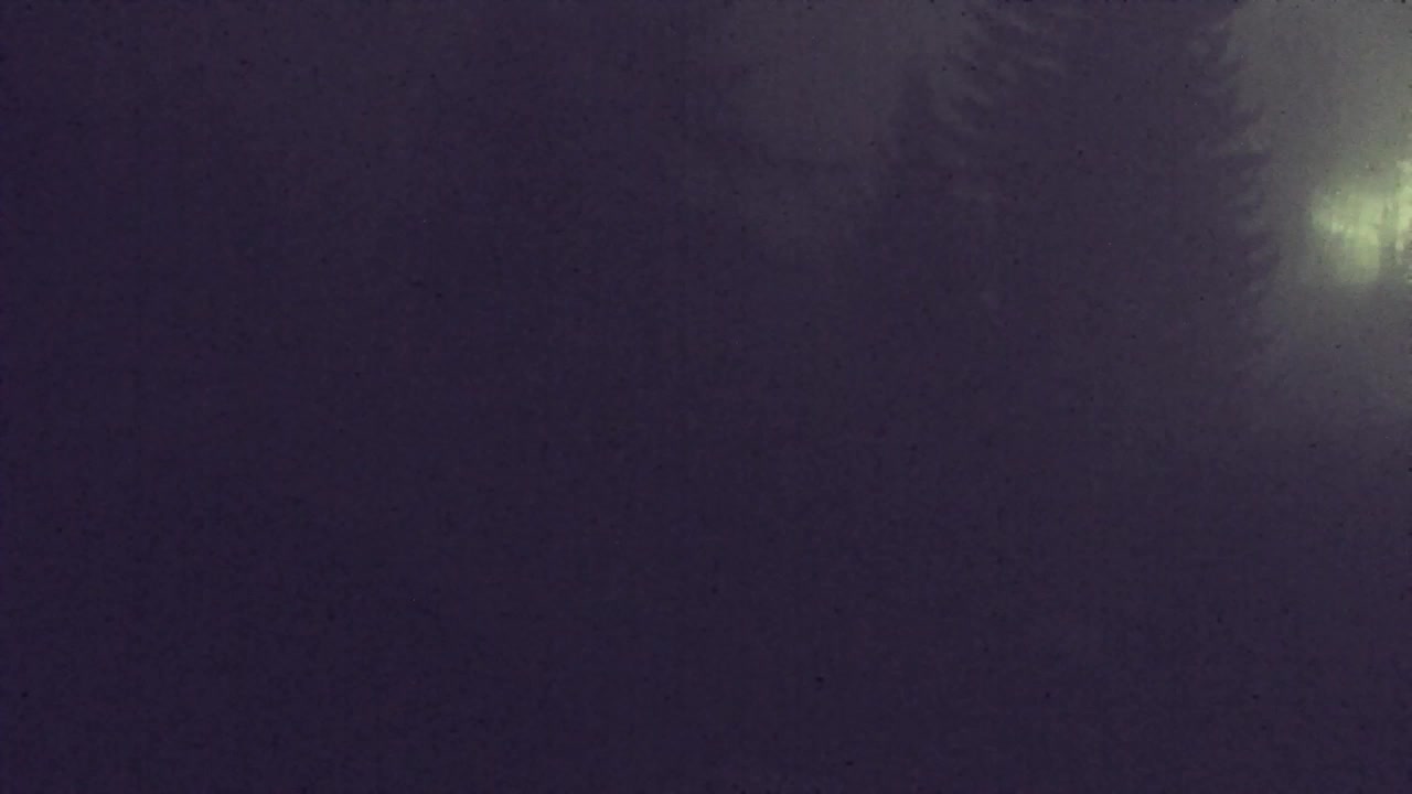 Camera en vivo Lokve – La belleza del bosque de Trnovo