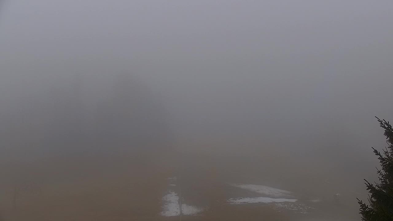 Webcam Lokve – The beauty of the Trnovo forest