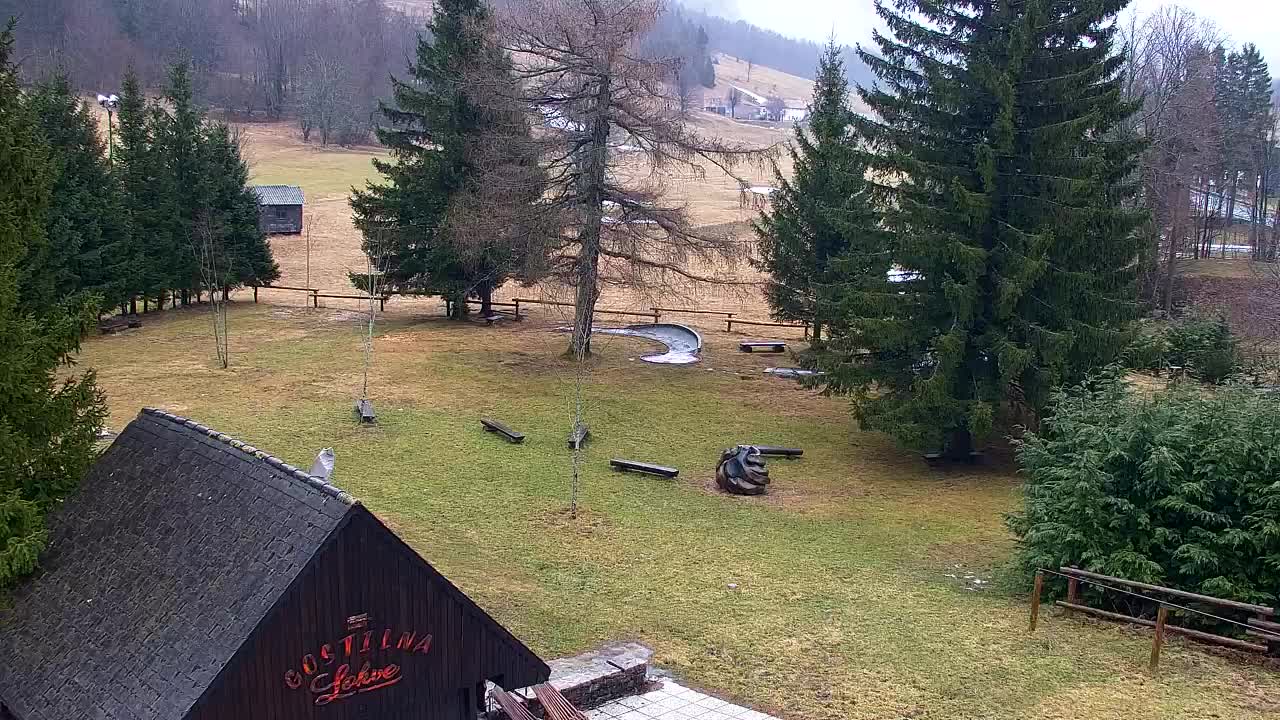 Lokve kamera – Naravne lepote Trnovskega gozda