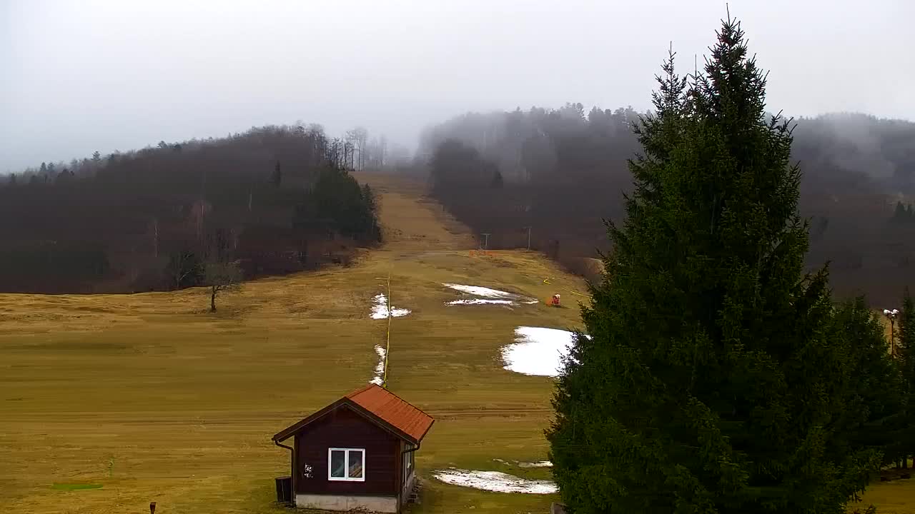 Webcam Lokve – The beauty of the Trnovo forest