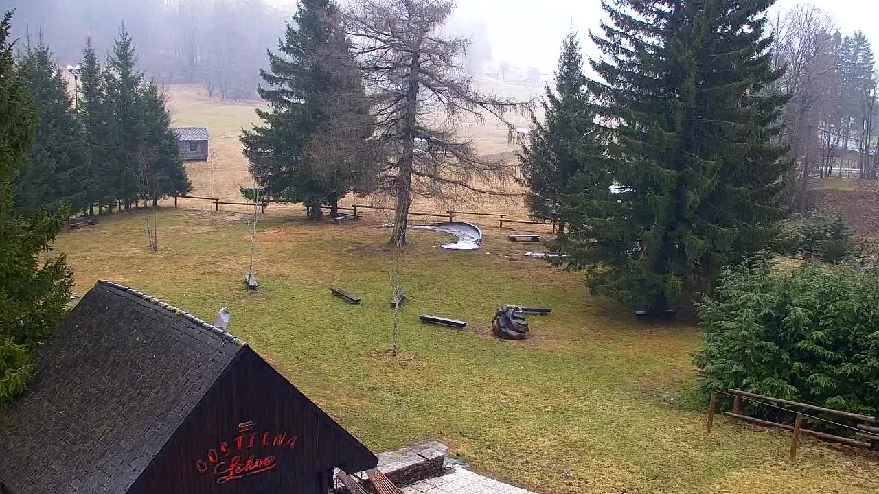 Webcam Lokve – The beauty of the Trnovo forest