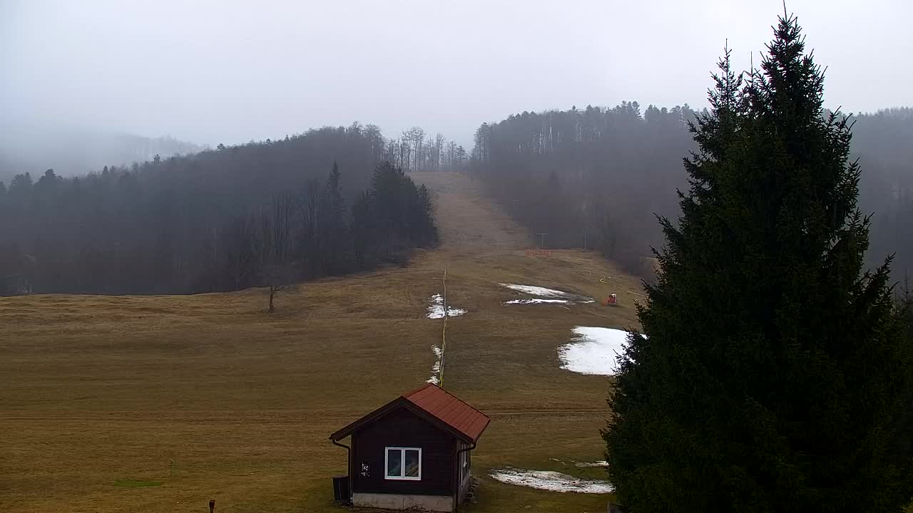 Lokve kamera – Naravne lepote Trnovskega gozda