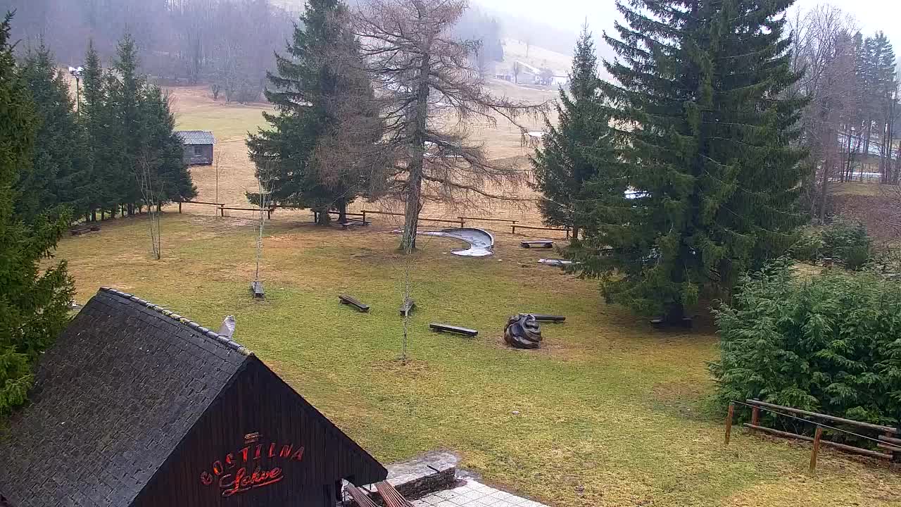 Webcam Lokve – The beauty of the Trnovo forest