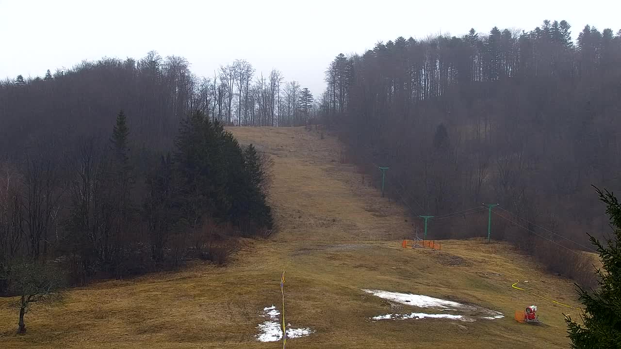 Webcam Lokve – The beauty of the Trnovo forest