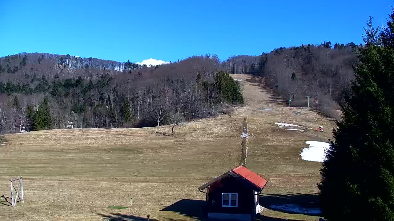 Webcam Lokve – La beauté de la forêt de Trnovo